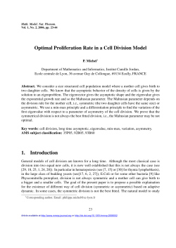 Optimal Proliferation Rate in a Cell Division Model