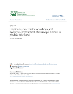 Continuous flow reactor for carbonic acid hydrolysis