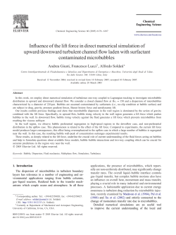 Influence of the lift force in direct numerical simulation of