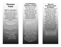 Dinosaur Facts