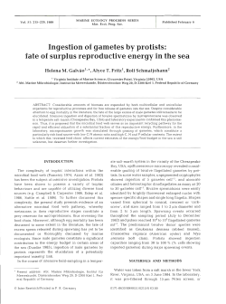 Ingestion of gametes by protists: fate of surplus reproductive energy