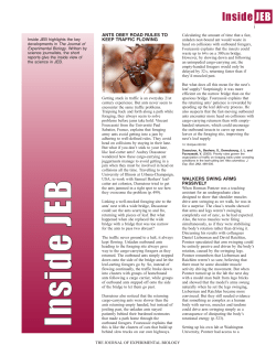 Inside JEB - Audrey Dussutour