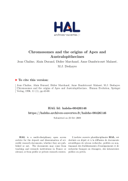 Chromosomes and the origins of Apes and - Hal-SHS