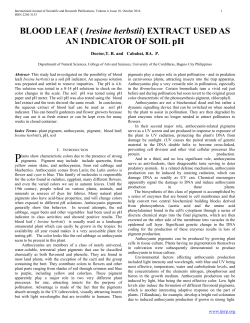 BLOOD LEAF ( Iresine herbstii) EXTRACT USED