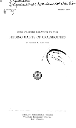 feeding habits of grasshoppers