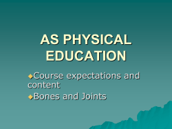Lesson 1 - Intro to Musculoskeletal System