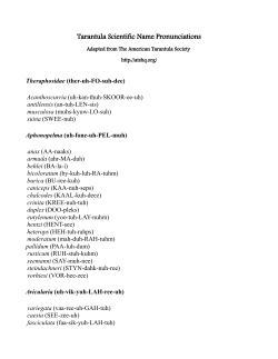 Tarantula Scientific Name Pronunciations