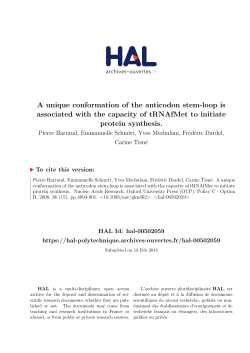 A unique conformation of the anticodon stem-loop is - HAL