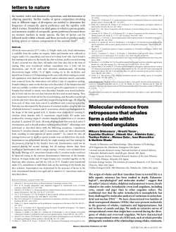 Molecular evidence from retroposons that whales form a clade