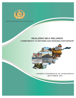 Realizing Self-Reliance - UNDG IMS User Guide