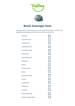 Beach Scavenger Hunt