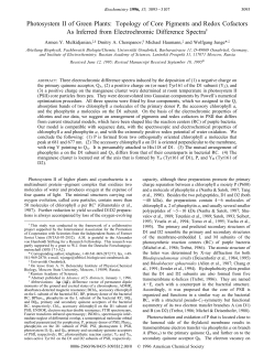 Photosystem II of Green Plants: Topology of Core Pigments and