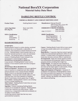 National BoraXX Corporation
