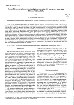 Stomatal behaviour, photosynthesis and photorespiration - Vitis-vea