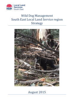 Wild Dog Management Strategy - South East Local Land Services