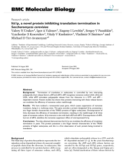 Itt1p, a novel protein inhibiting translation termination