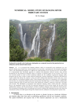 numerical- model study of hanging river tributary system
