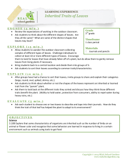 Inherited Traits of Leaves
