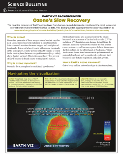 AMNH_EarthViz-Ozone2013_Backgrounder