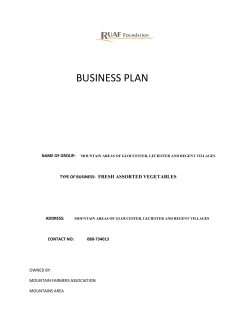 BUSINESS PLAN