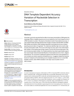 DNA Template Dependent Accuracy Variation of Nucleotide