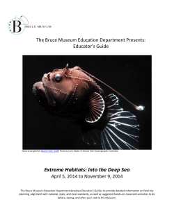 Extreme Habitats: Into the Deep Sea