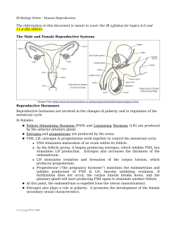 IB Biology Notes &ndash; Human Reproduction