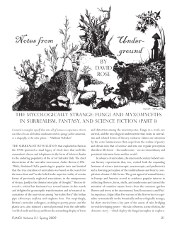 Notes from Under- ground