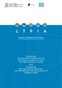 overview option being granted to pastoral lessee of land within