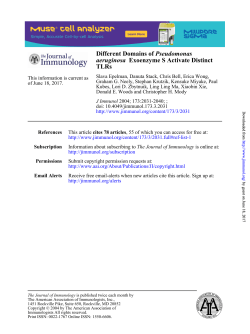 Different Domains of Pseudomonas aeruginosa Exoenzyme S