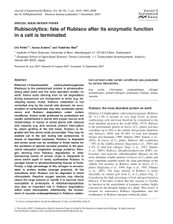 Rubiscolytics: fate of Rubisco after its enzymatic