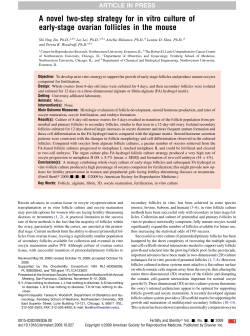 A novel two-step strategy for in vitro culture of early