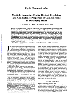 Rapid Communication - Circulation Research