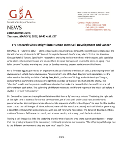 Fly Research Gives Insight into Human Stem Cell