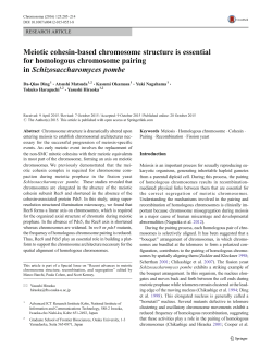 Meiotic cohesin-based chromosome structure is essential for