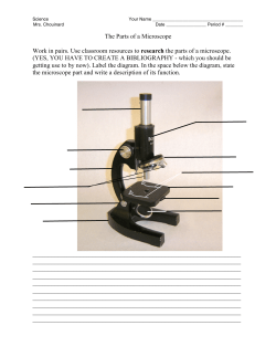 The Parts of a Microscope Work in pairs. Use classroom