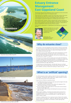 Estuary Entrance Management - page 1