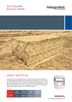 BiG sqUARE BAlinG tWinE GREAt WhitE Xd