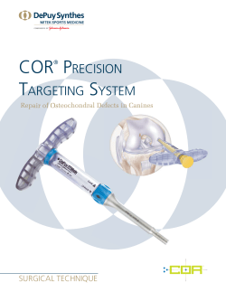 COR&reg; PRECISION TARGETING SYSTEM