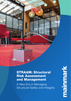 STRAAM: Structural Risk Assessment and Management