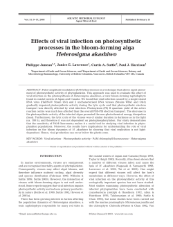Effects of viral infection on photosynthetic processes in the bloom