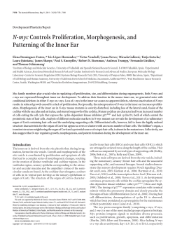N-mycControls Proliferation, Morphogenesis, and Patterning of the