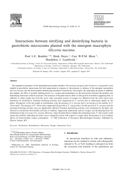 Interactions between nitrifying and denitrifying bacteria in