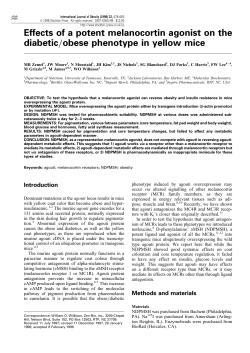Effects of a potent melanocortin agonist on the diabetic