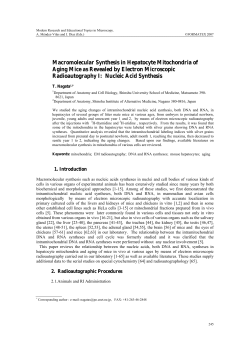 Macromolecular Synthesis in Hepatocyte Mitochondria of Aging
