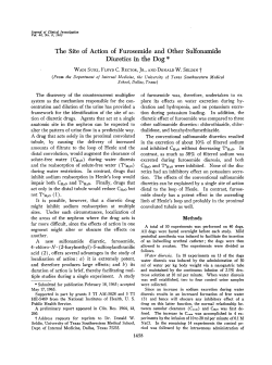 The Site of Action of Furosemide and Other Sulfonamide