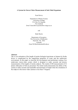 A System for Stereo-Video Measurement of Sub-Tidal