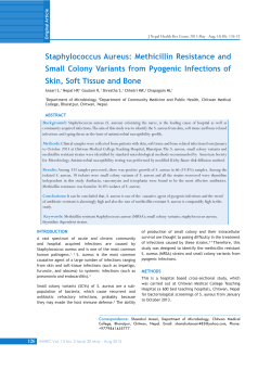 Staphylococcus Aureus: Methicillin Resistance and Small Colony
