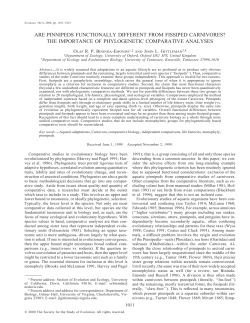 are pinnipeds functionally different