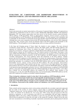 Evolution of carotenoid and sterol biosynthesis in photosyn